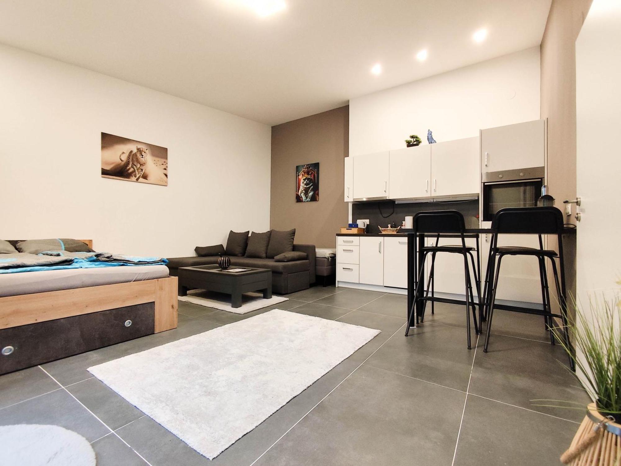 Cozy Apartments In Central Location With Free Parking Vienna Luaran gambar